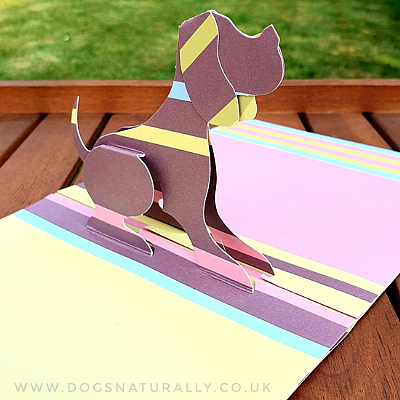 Luxury Stripe 3D Dog Pop Up Card